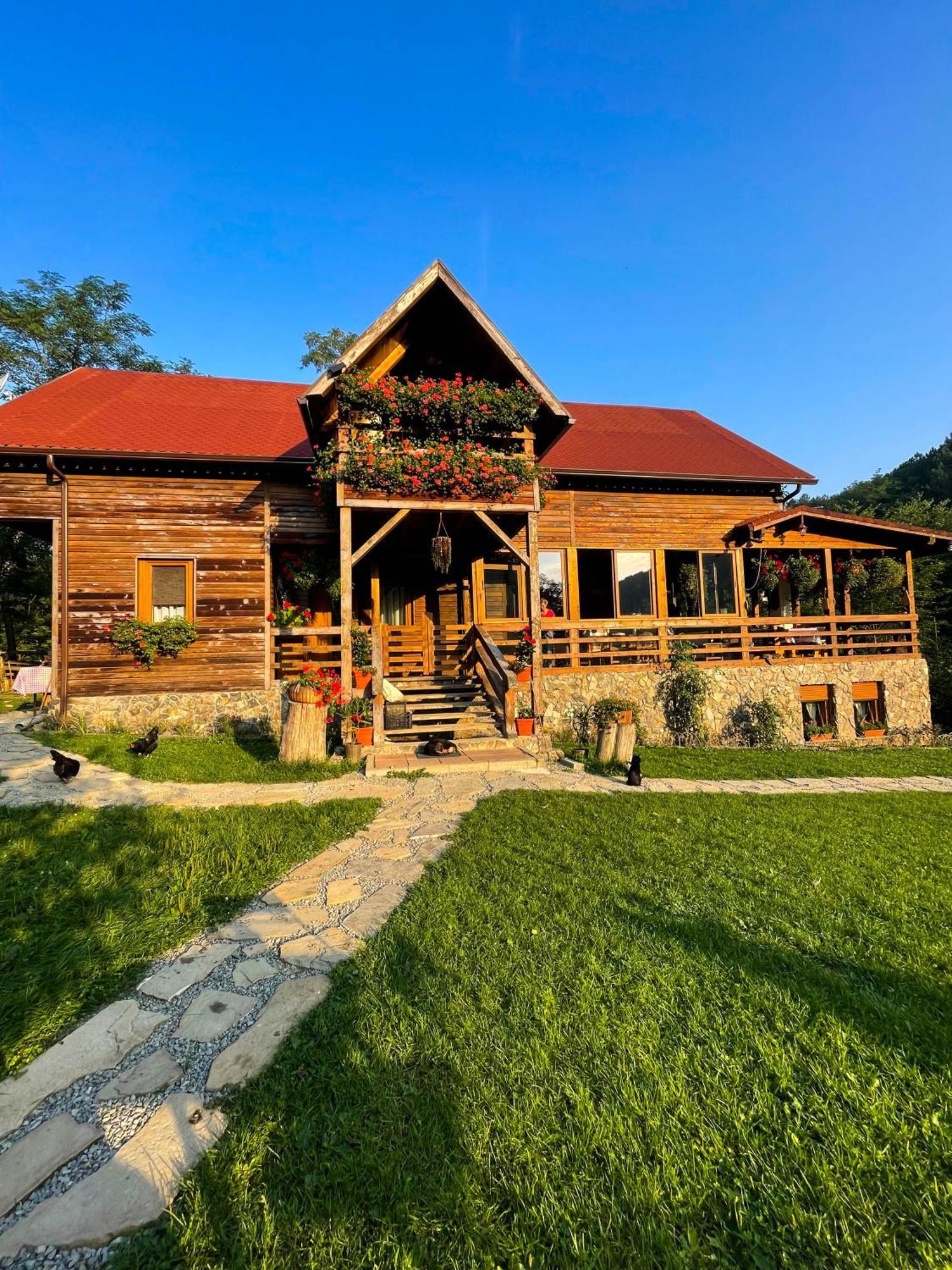 Cabana La domnu' de pe vale Villa Aiud Exterior foto